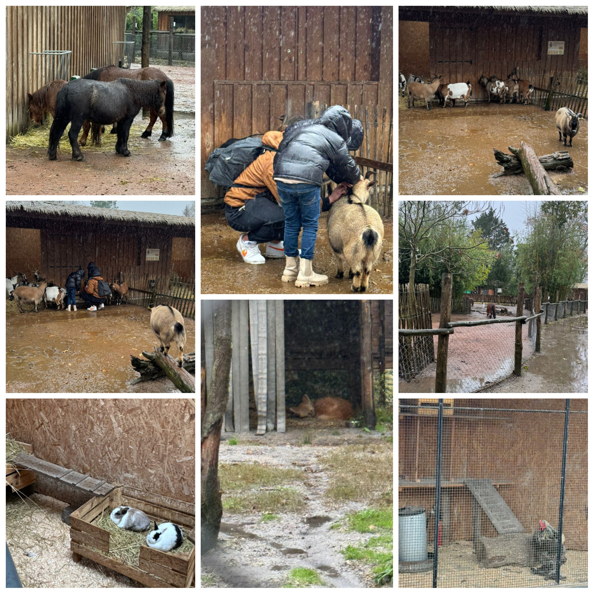 La ferme du zoo de Bordeaux Pessac